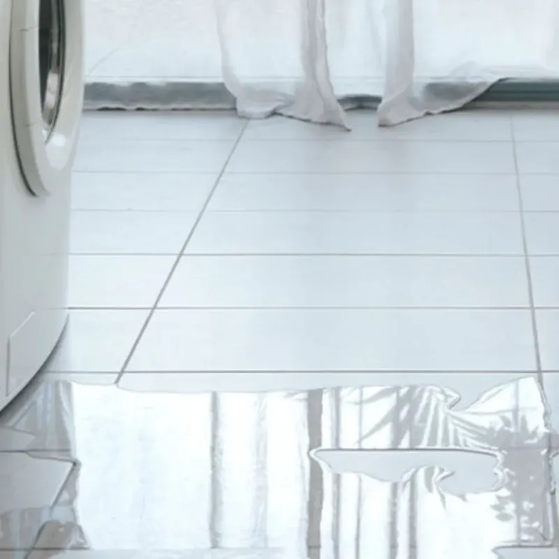 Appliance Leak Cleanup in New Augusta, MS