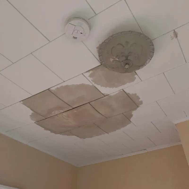 Ceiling Water Damage Repair in New Augusta, MS
