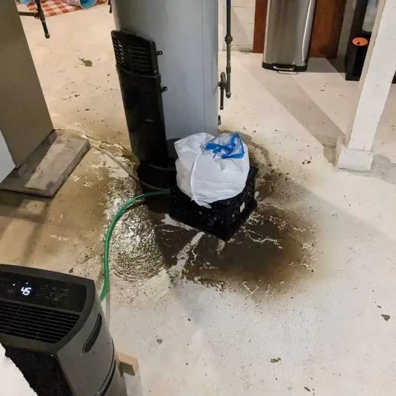 Sewage Backup Cleanup Service in New Augusta, MS